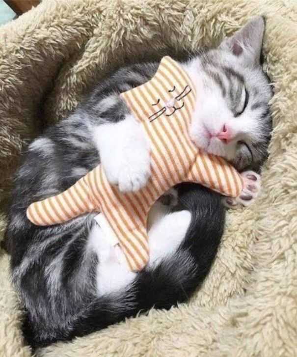 good night