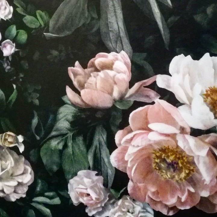 Peonies