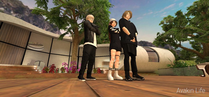 Avakin Life
