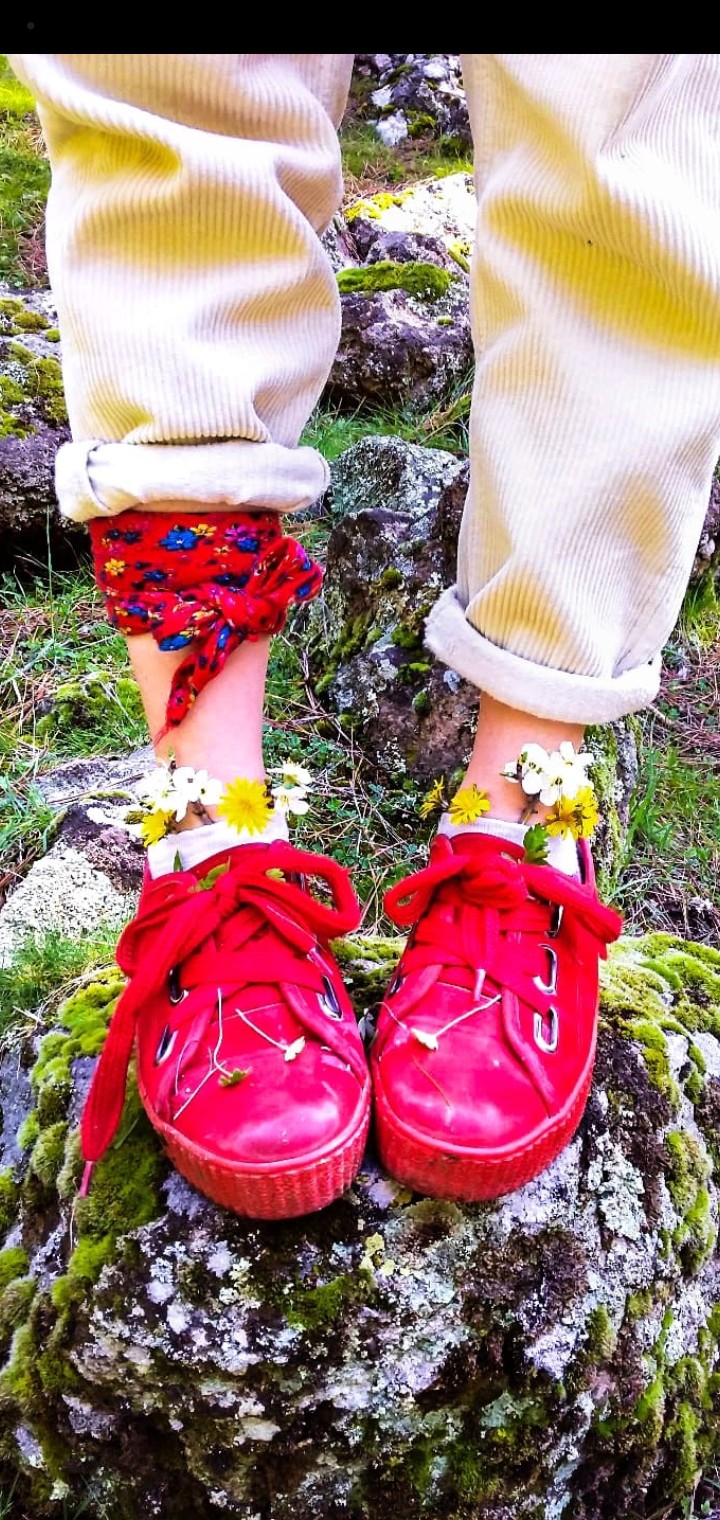 Red Shoes