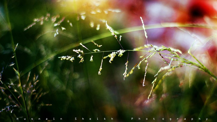 This is one of my best  click......
