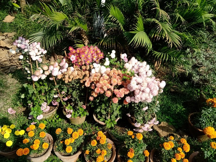 gArDeNiSh
