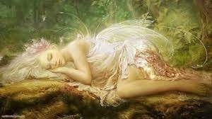 sleeping fairy