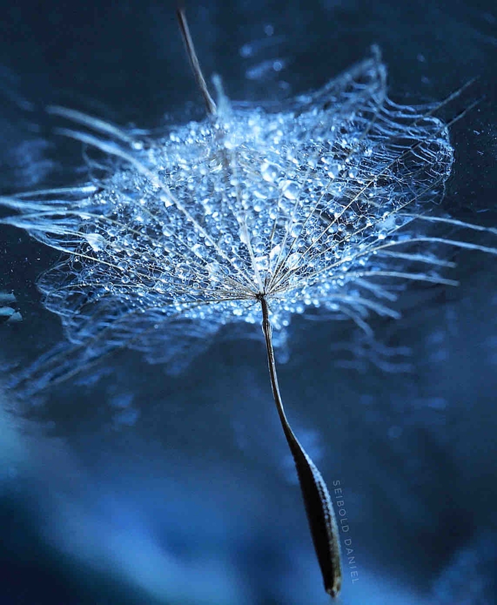 Wassertropfen