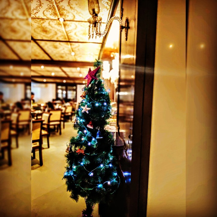 christmas tree