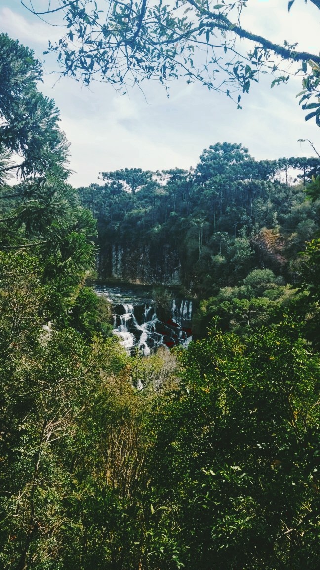 Nature is magnificent