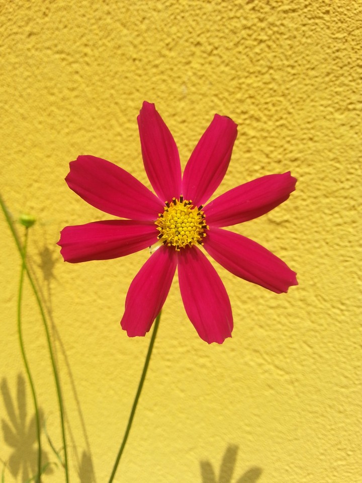 Spring time