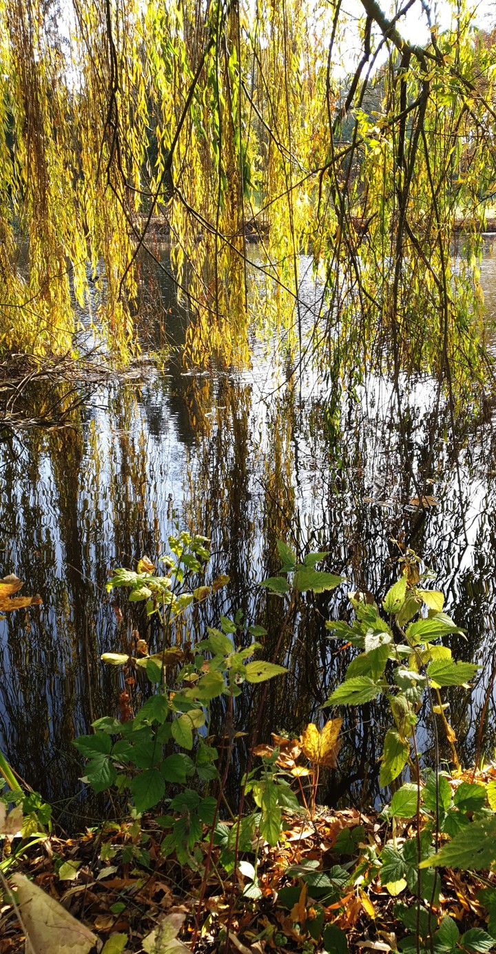 Autumn