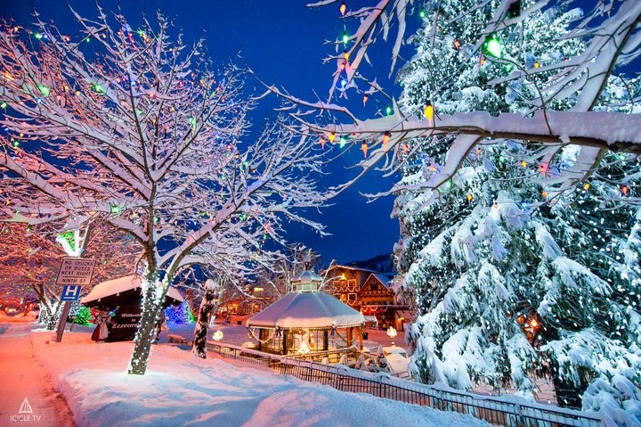 Christmas lights outdoors
