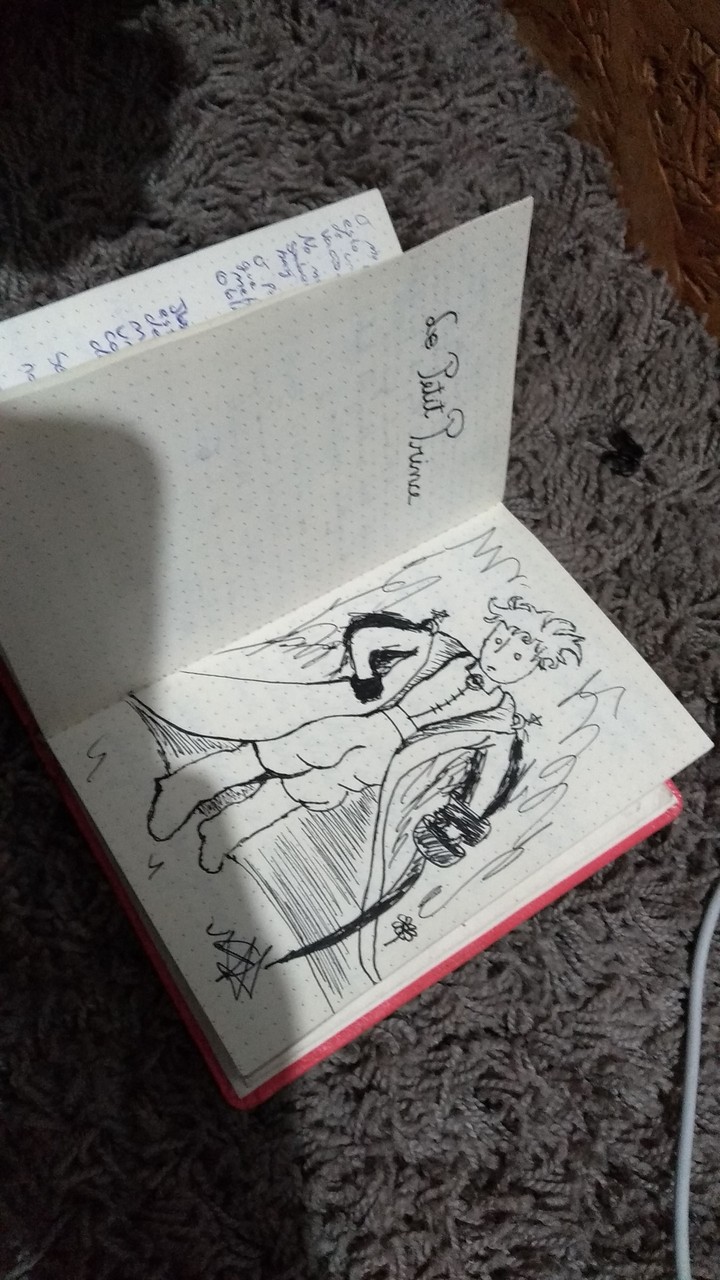 Le petit prince