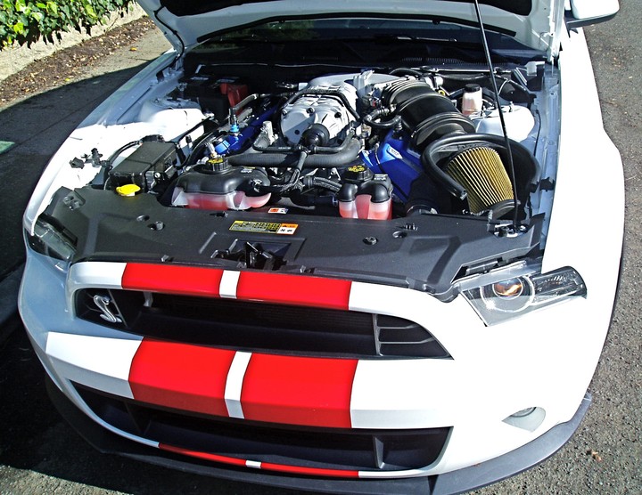 sexiest shelby