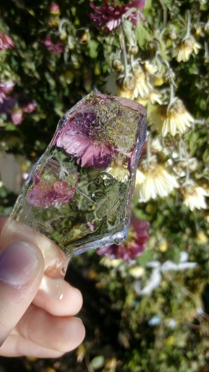 lce and flowers