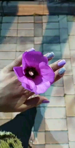 nails byme