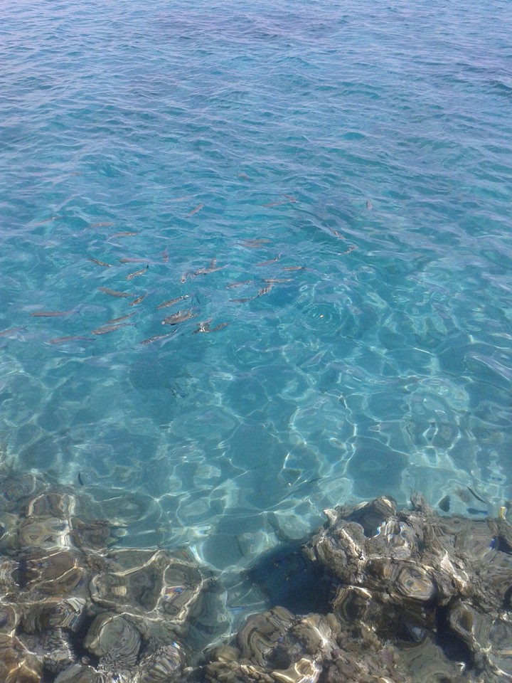 sea