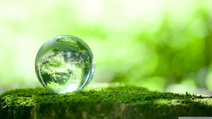 nature