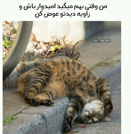 ،