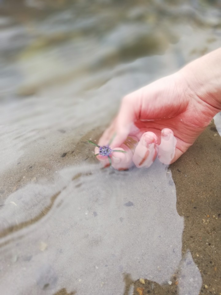me in sea