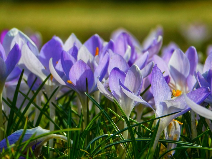 Spring is so wonderful