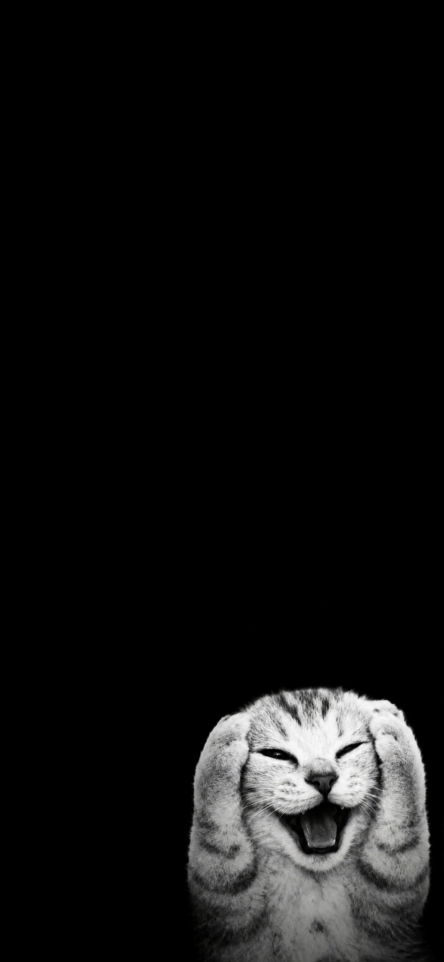 тапети panthera, White