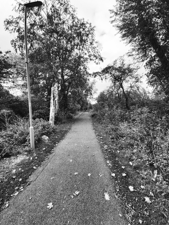 Road