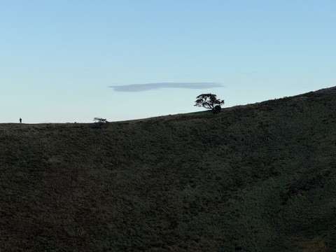 hình nền landscapes, hill