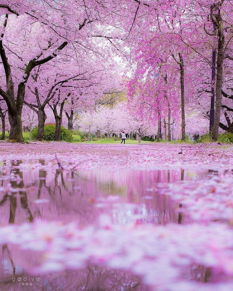 Osaka prefecture