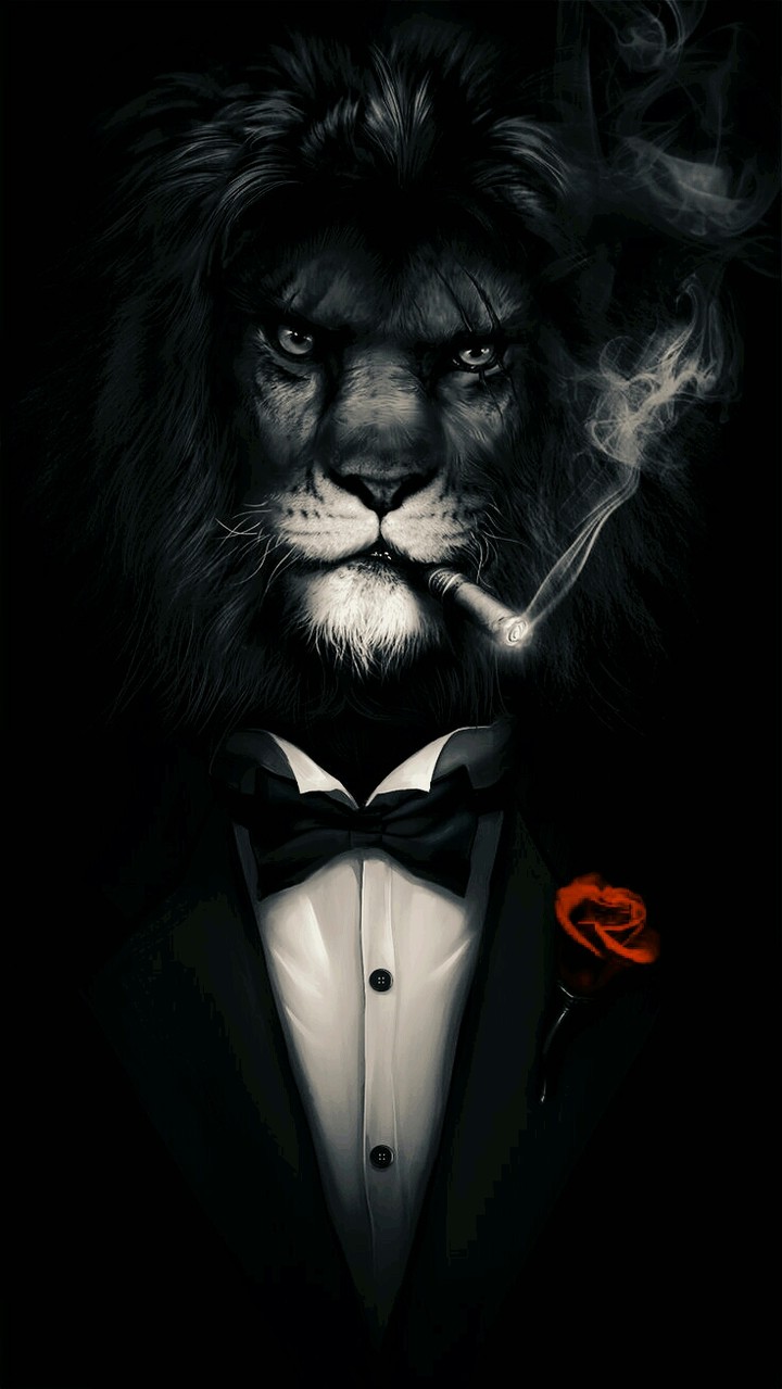lion