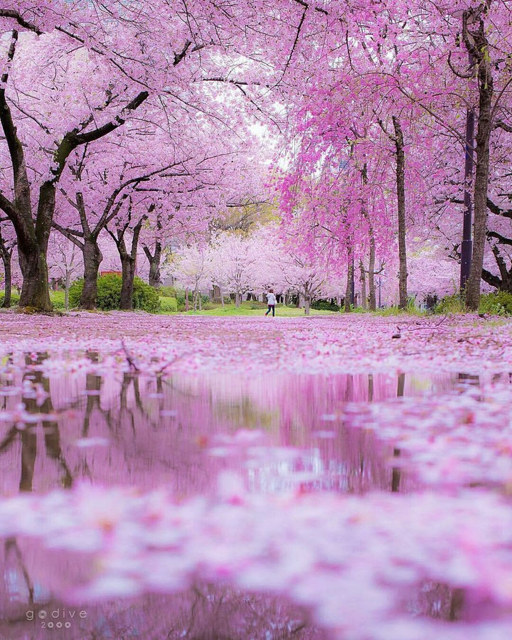 Osaka prefecture