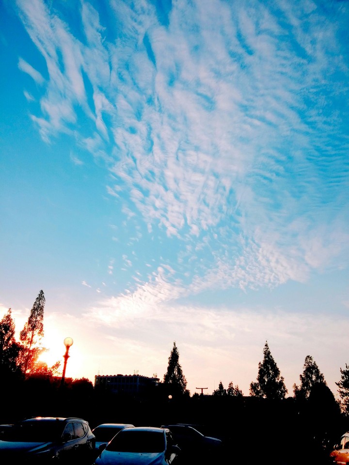 Sky