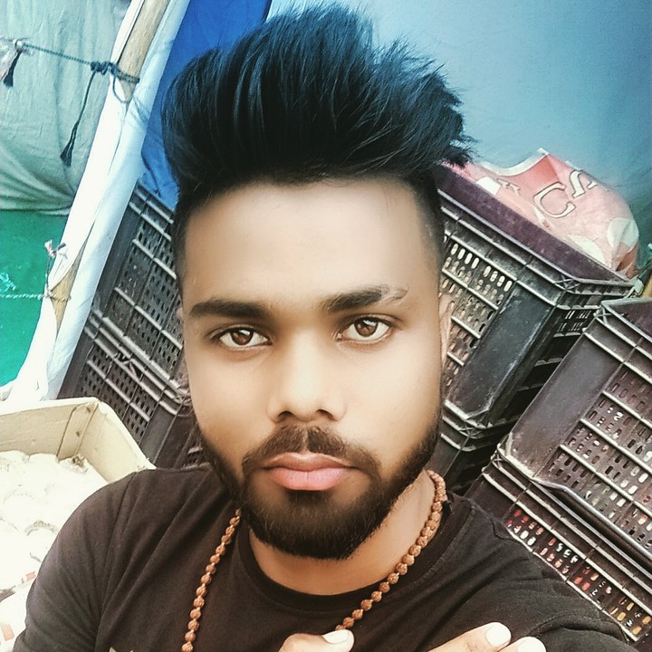 wwe