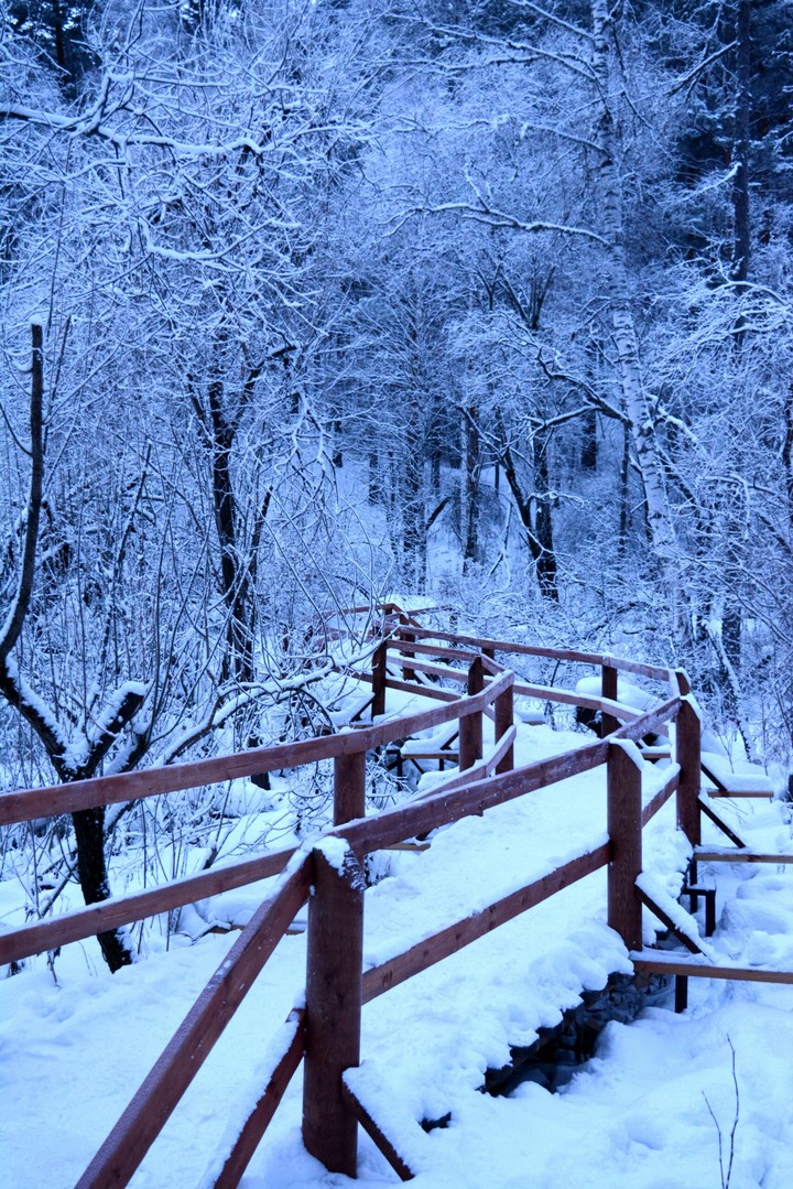 Прогулка