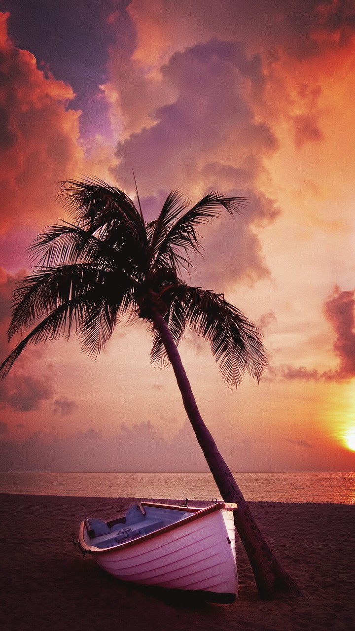 #summer