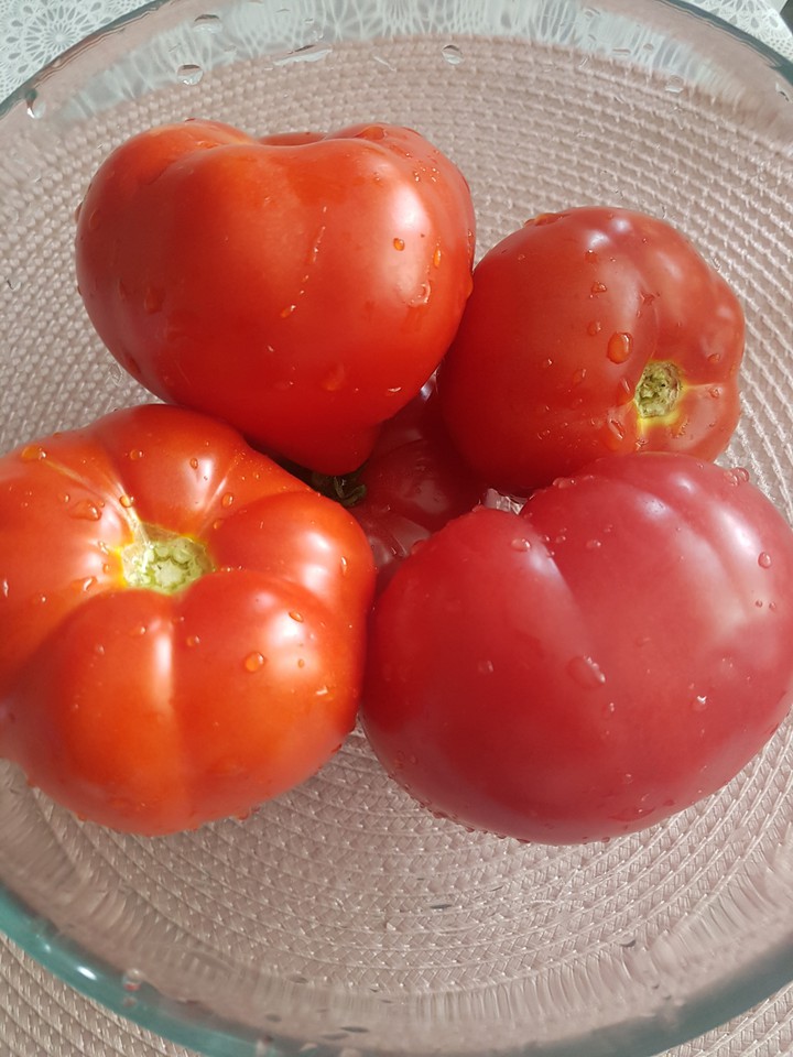 tomatoes