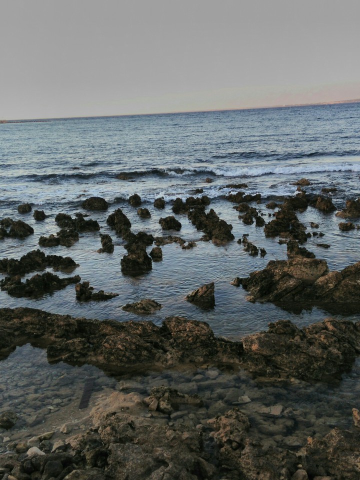 Sea