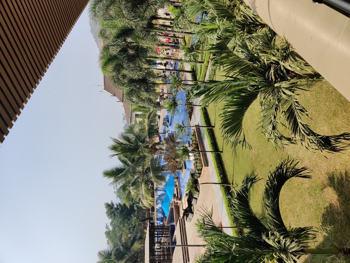 room view bliss
