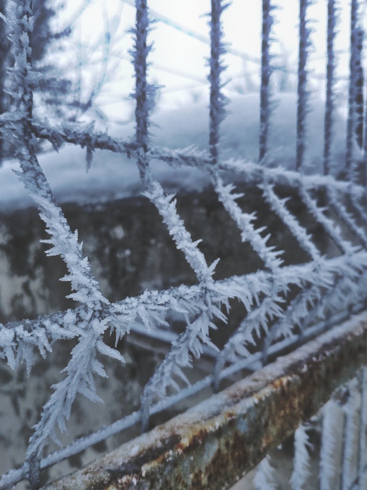 Edges of winter