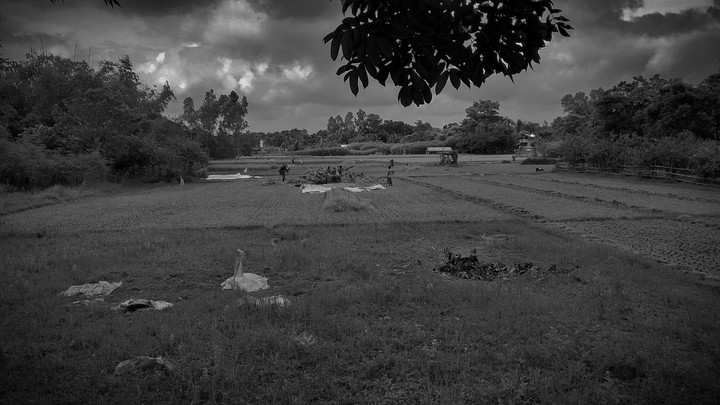 A melancholy day