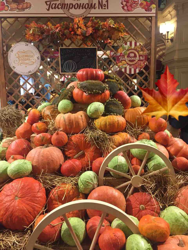 autumn