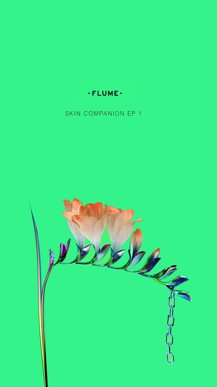 Flume Skin Companion EP