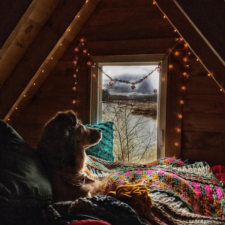 window