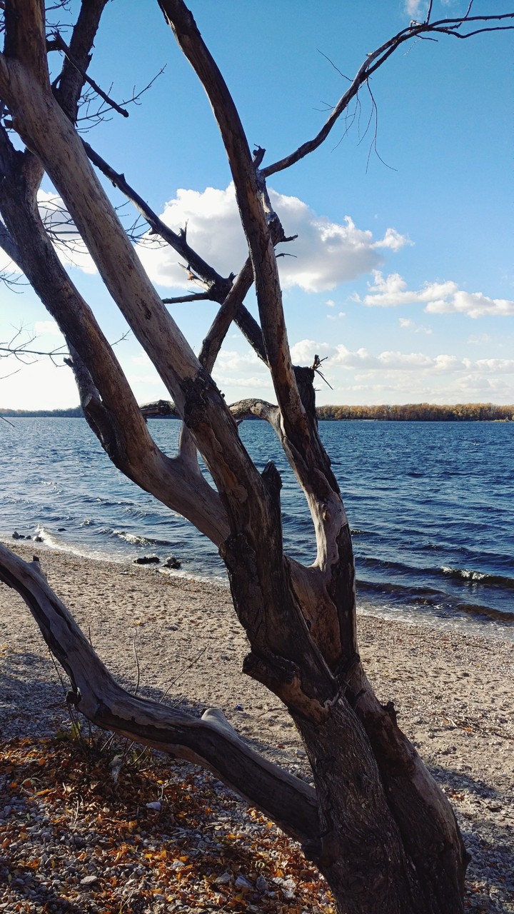 Волга