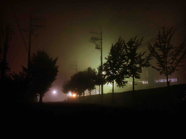 foggy sight