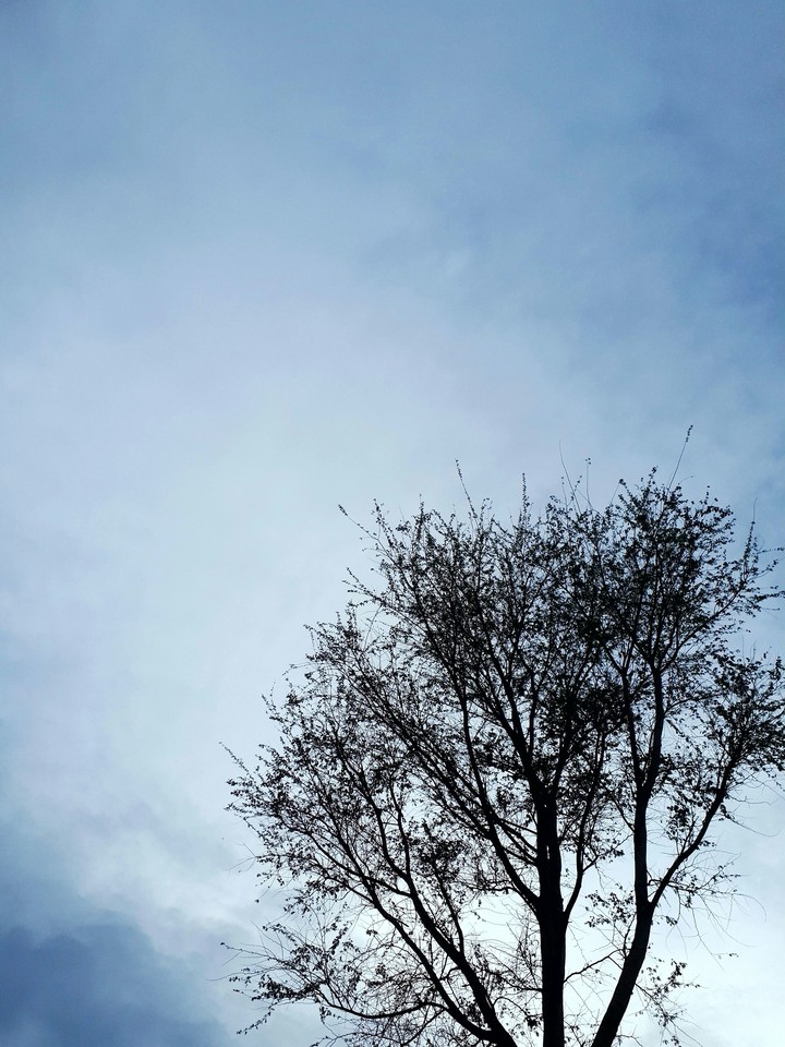 Alone