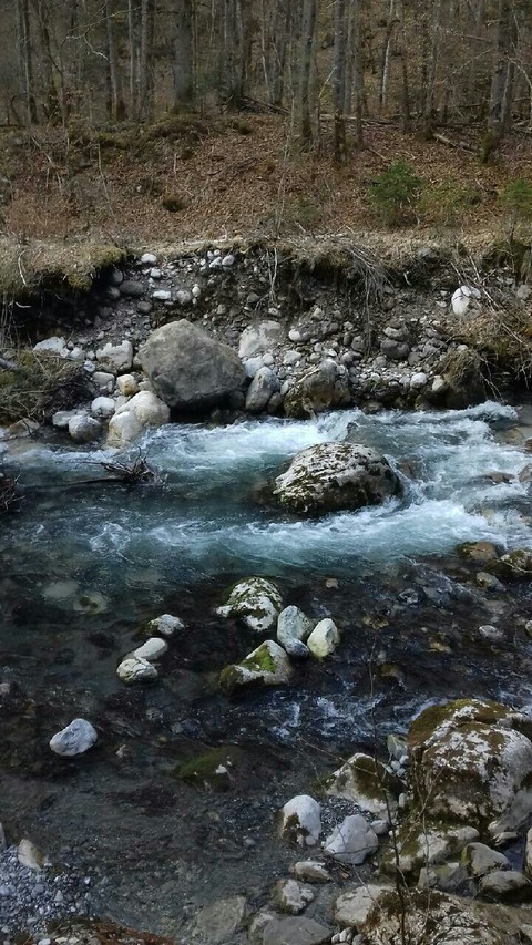 torrent bleu diamant