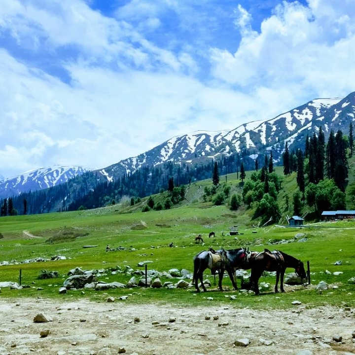 Beautiful Kashmir