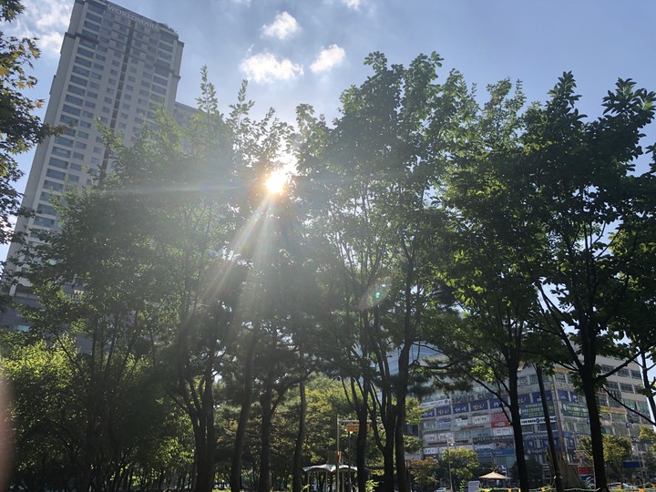 Sun shine