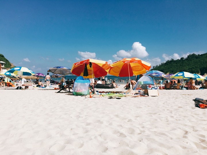 big wave bay