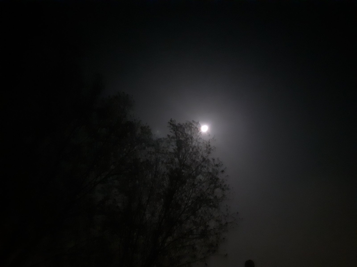 moon