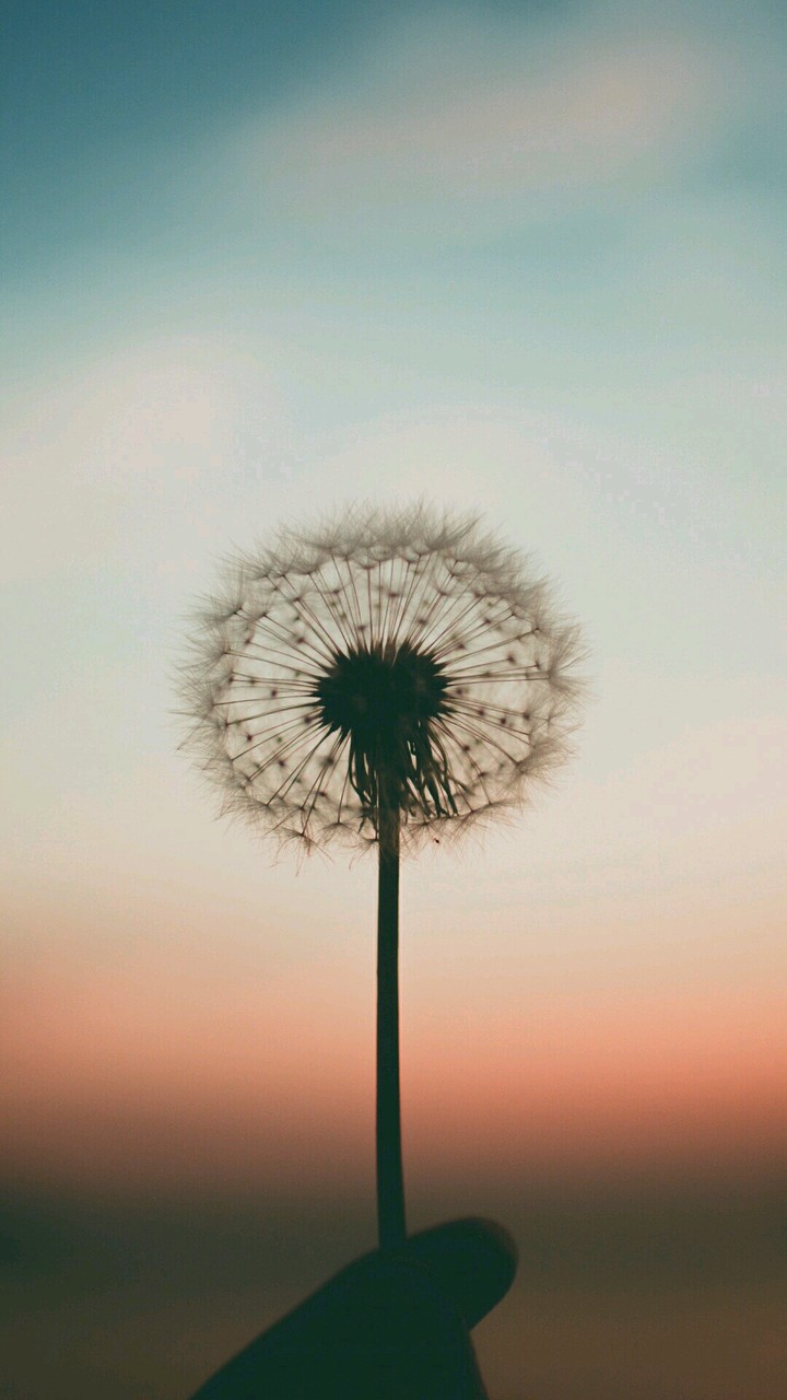faith