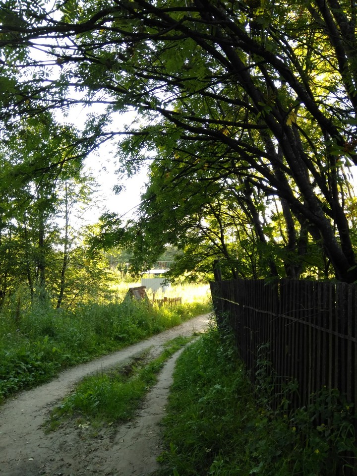 The village road